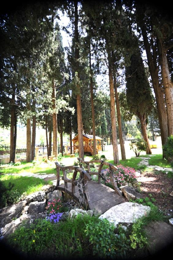 Lazurniy Bereg Hotel Gagra Ngoại thất bức ảnh